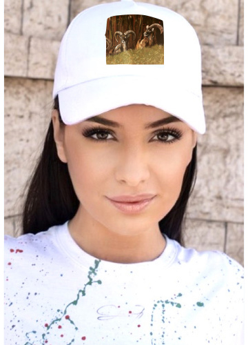 SQUARE ŠILTOVKA MUFLÓNI